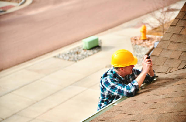 Best Roof Moss and Algae Removal  in Lake City, IA