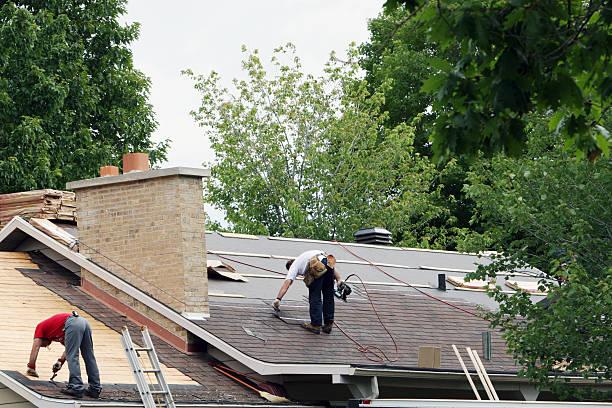 Best Roof Insulation Installation  in Lake City, IA