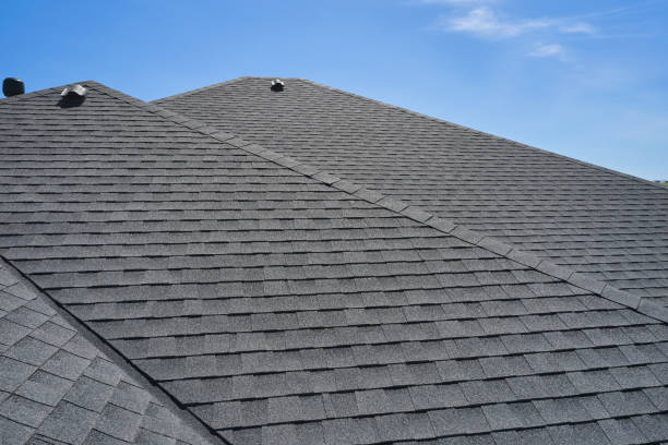 Best Roof Maintenance and Cleaning  in Lake City, IA