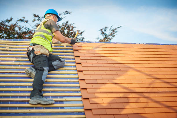 Best Rubber Roofing (EPDM, TPO)  in Lake City, IA